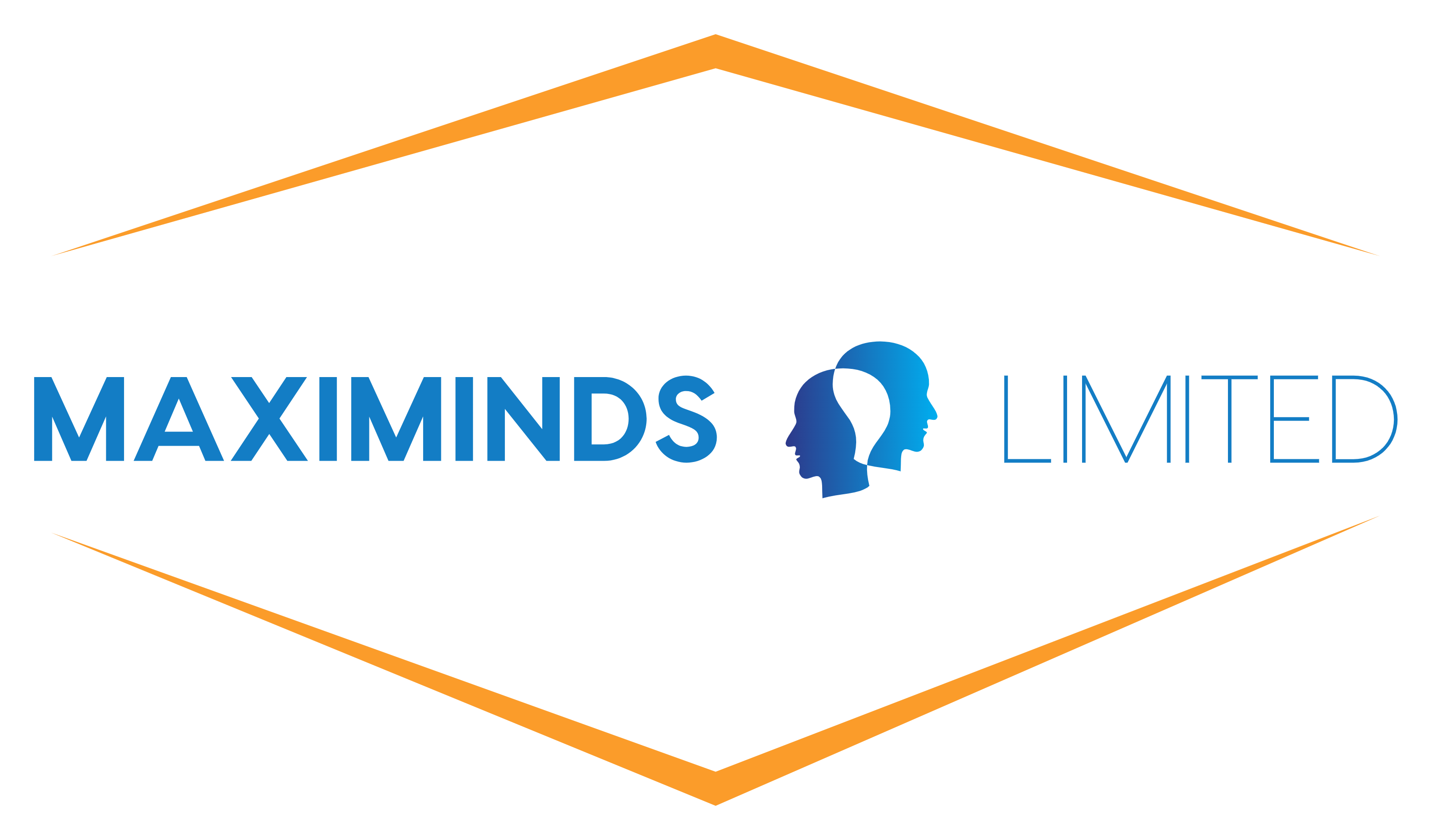 Maximinds Ltd. - Professional Bookkeeping Services for Healthcare Practices